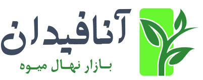 لوگو نهالستان انگور فیدان | نهالستان انگور فیدان نهالستان انگور فیدان | لوگوی نهالستان آنا فیدان؛ برند تخصصی تولید نهال در ایران